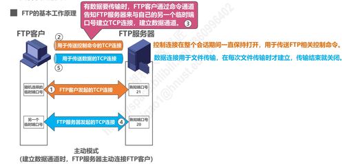 計算機網(wǎng)絡(luò)技術(shù)開發(fā)中的P6應(yīng)用層 驅(qū)動未來互聯(lián)的核心引擎